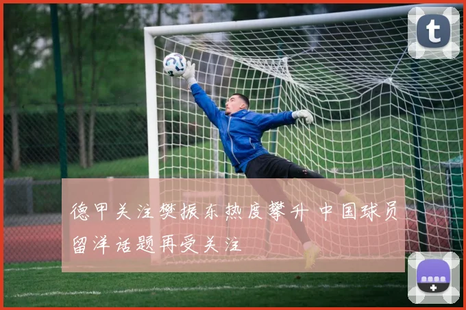 德甲关注樊振东热度攀升 中国球员留洋话题再受关注