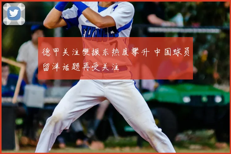 德甲关注樊振东热度攀升 中国球员留洋话题再受关注