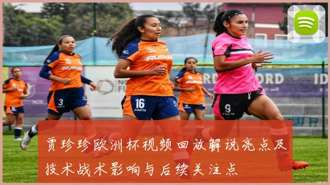 贾珍珍欧洲杯视频回放解说亮点及技术战术影响与后续关注点