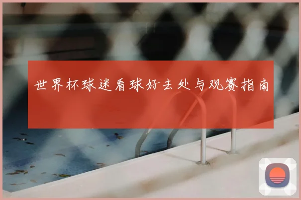世界杯球迷看球好去处与观赛指南