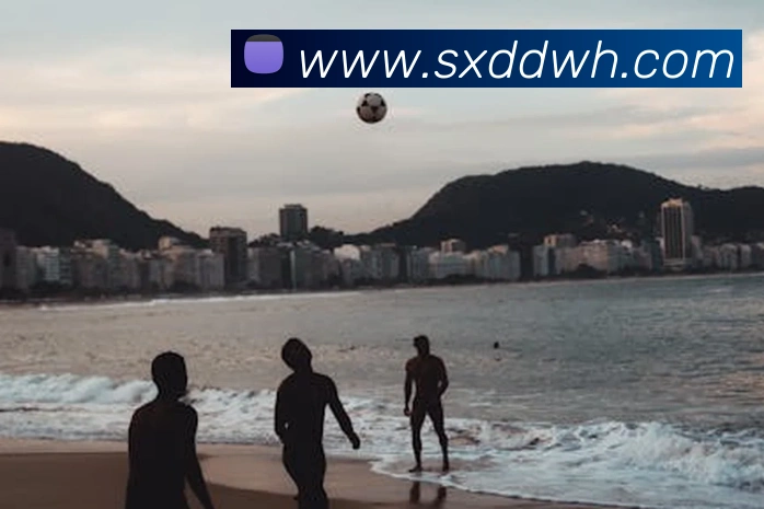 kaiyun登录入口网址平台生态图