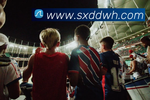 kaiyun登录入口网址APP 封面图