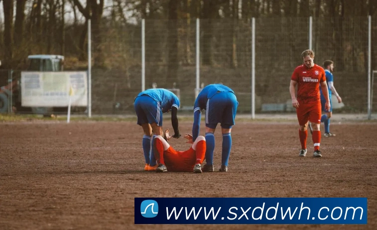 数据防护可视化